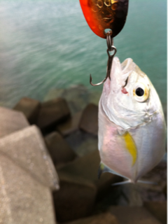 image-20111026105928.png