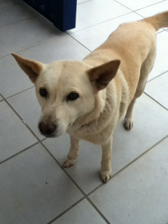 image-20130316175645.png
