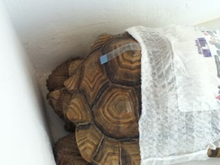 image-20130409165350.png