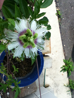 image-20130515100226.png