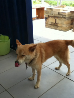 image-20130630115653.png