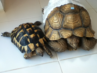 image-20130919185049.png